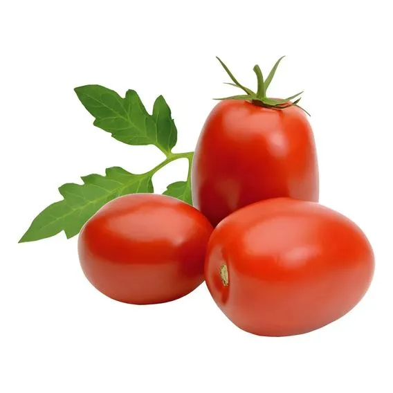 Tomate 7